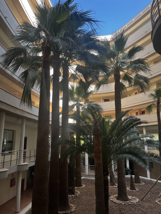 Gartenanlage allsun App.-Hotel Orient Beach