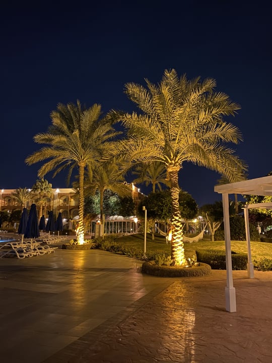 Gartenanlage Desert Rose