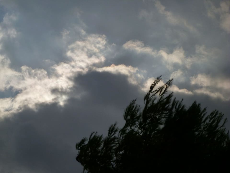 Hotel blau punta reina