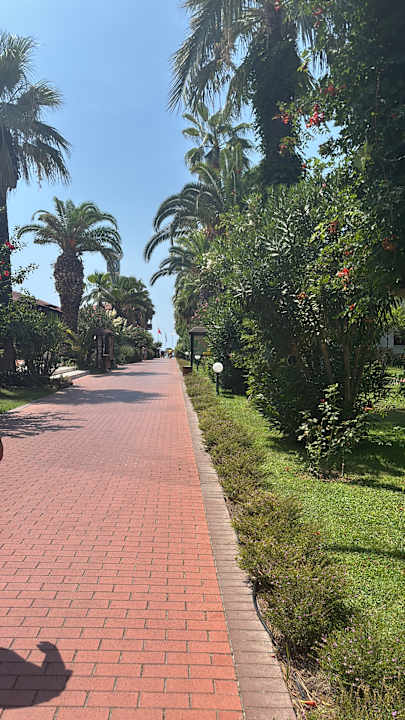 Gartenanlage Ali Bey Club