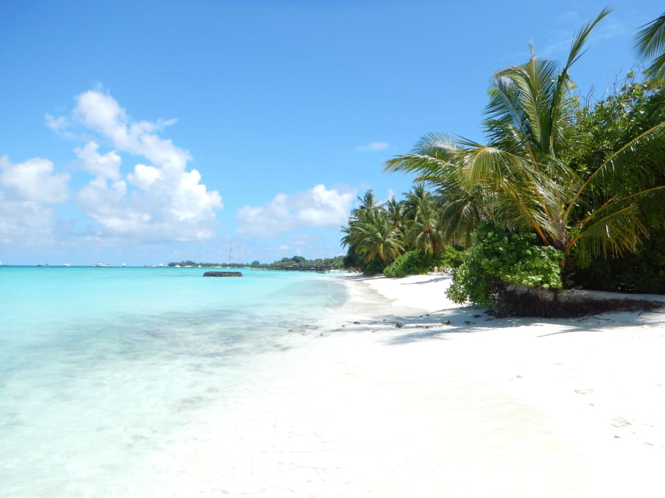Traumstrand braucht keine Worte  Kuramathi Maldives