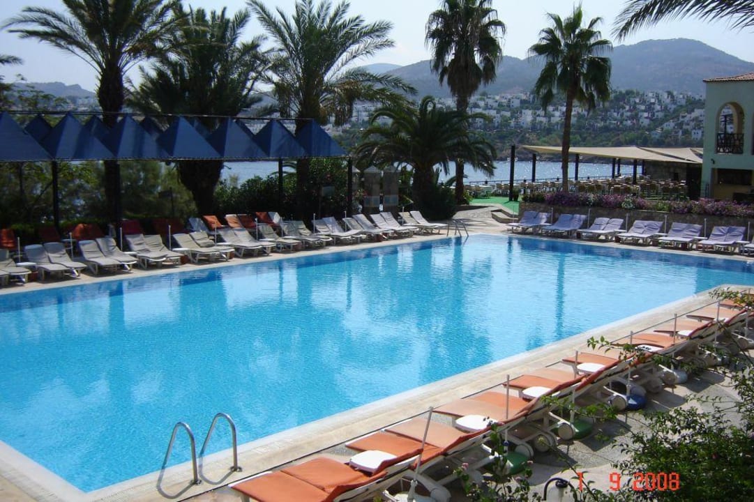 Basen z drugiej str hotelu Hotel Flipper