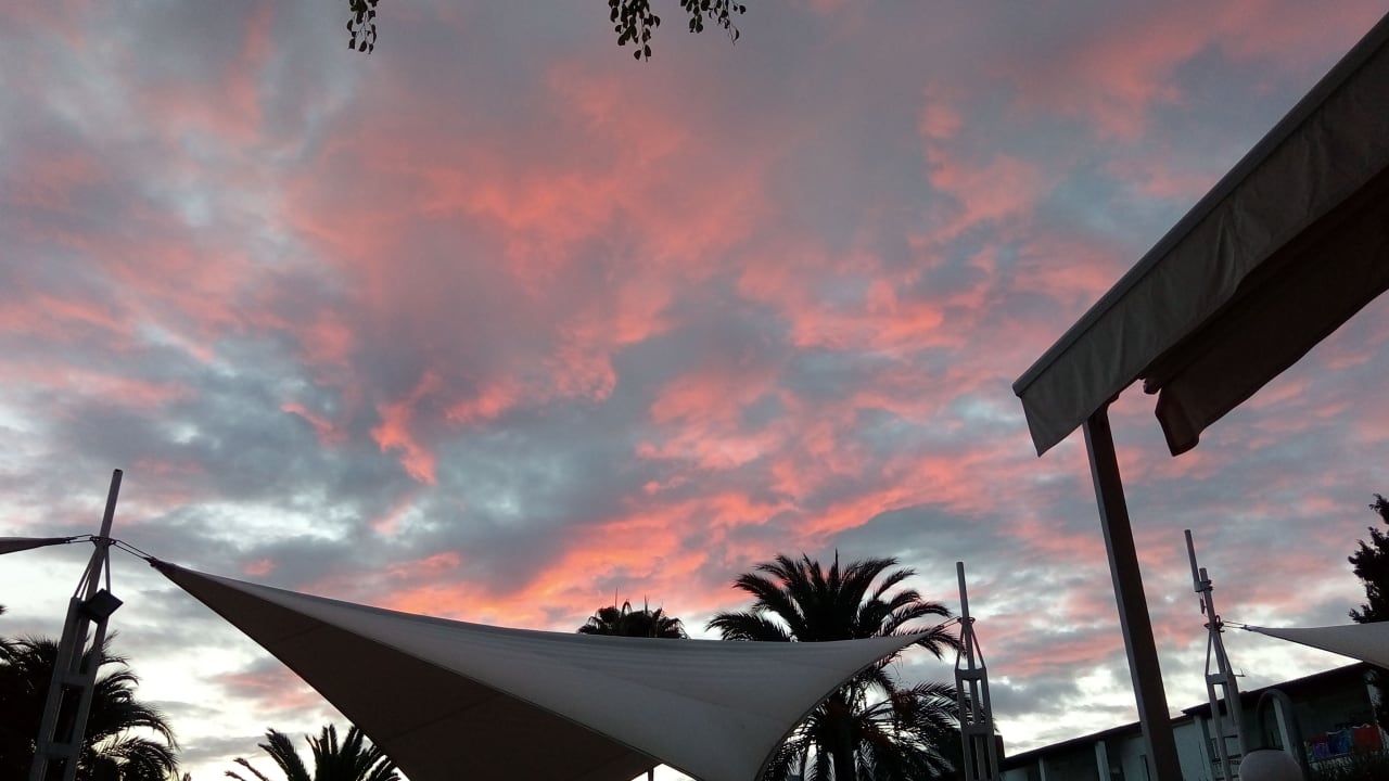 Ausblick Alcudia Garden Aparthotel