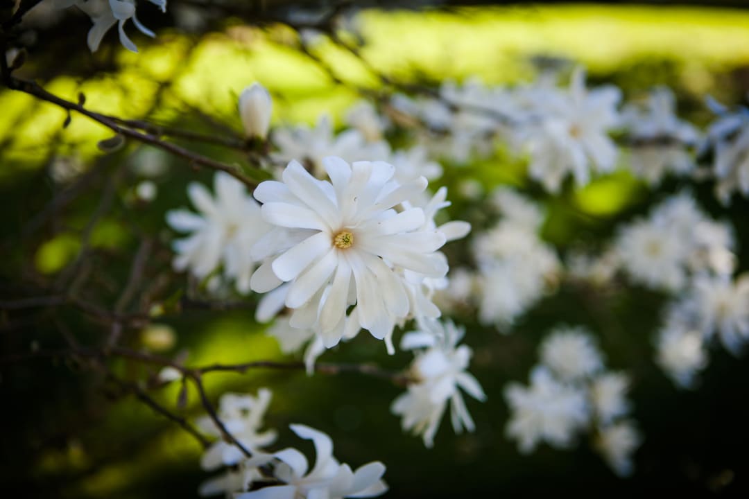 Gartenanlage Ferienhof Gut Ummersberg