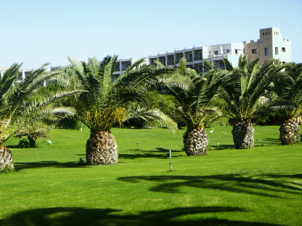 Gartenanlage Fort Arabesque Resort, Spa & Villas