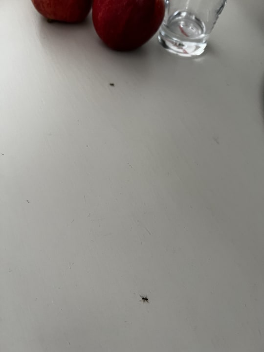 Zimmer Hotel Lamm - Mitteltal