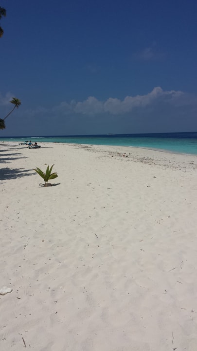 Strand Filitheyo Island Resort