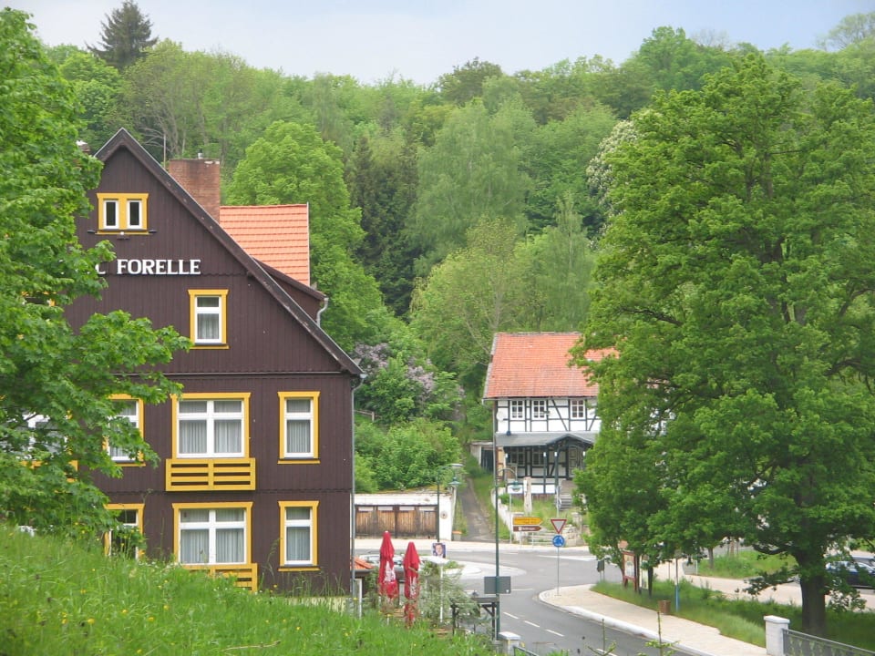 2 Ferienhotel Forelle