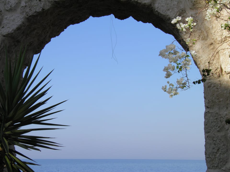 Beautiful view  Pickalbatros Citadel Resort