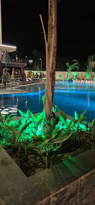 Pool PALEMON Resort& Spa