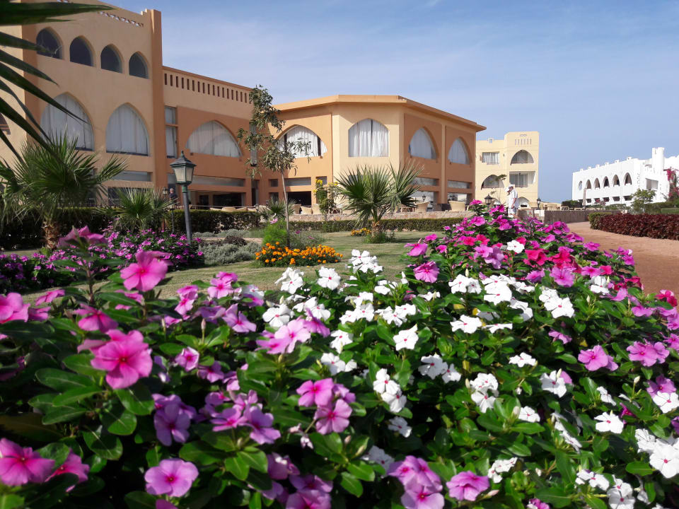 Außenansicht Three Corners Equinox Beach Resort