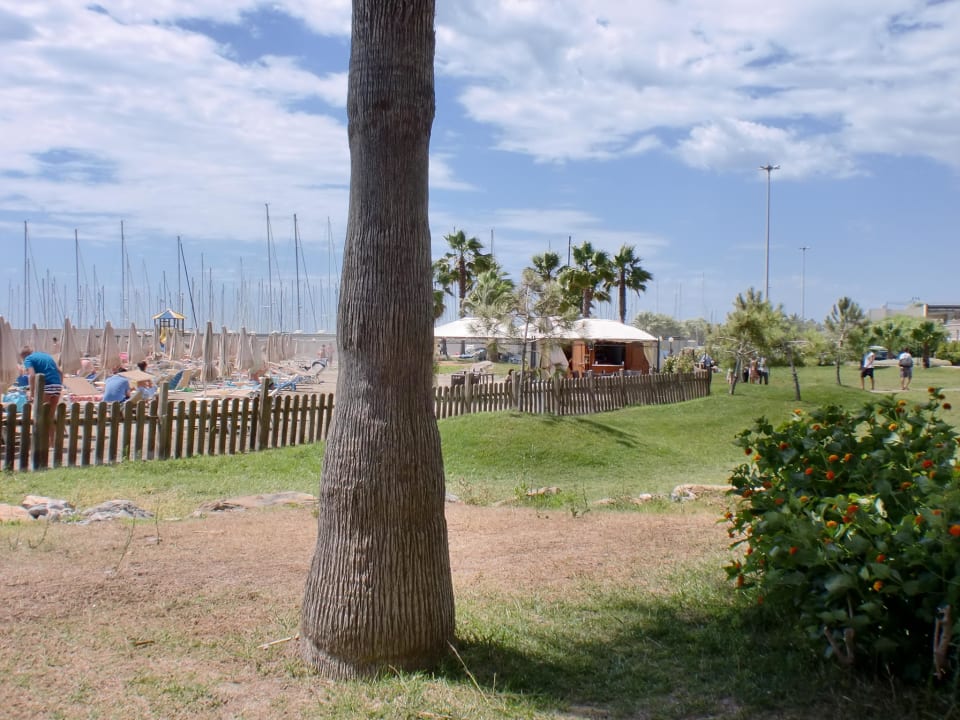 Gartenanlage Aregai Marina Hotel & Residence