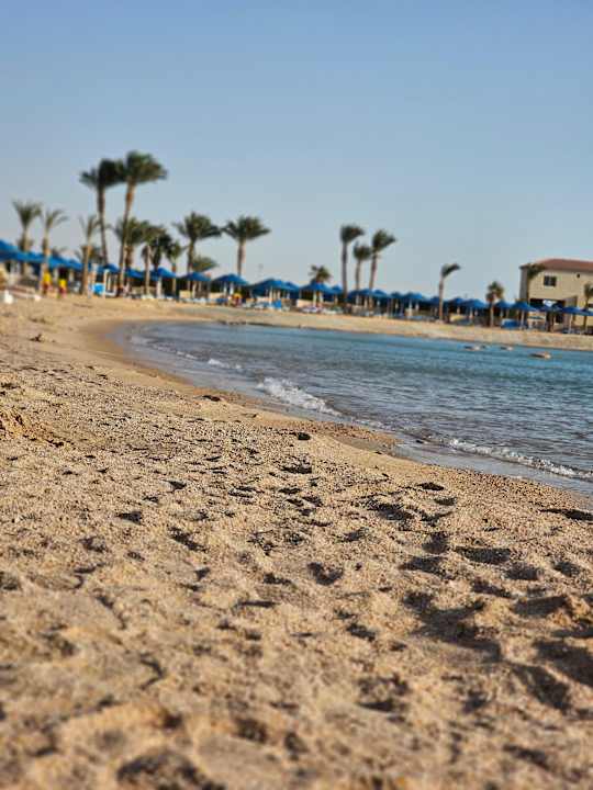 Strand Beach Albatros Resort