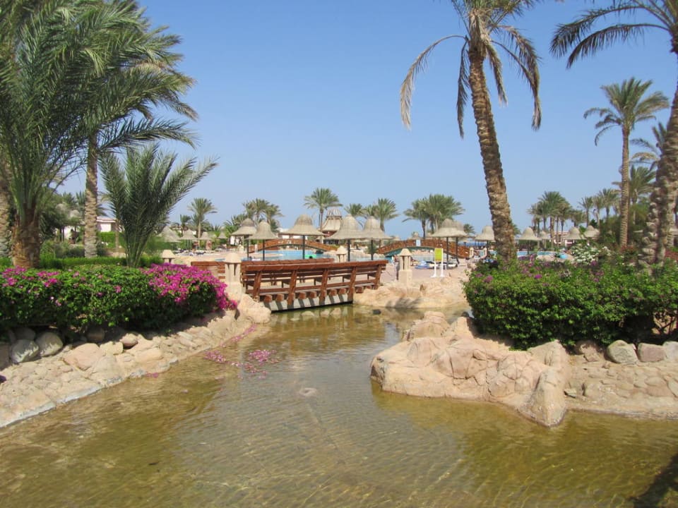 Hotel Radisson Blu Resort Parrotel Beach Resort