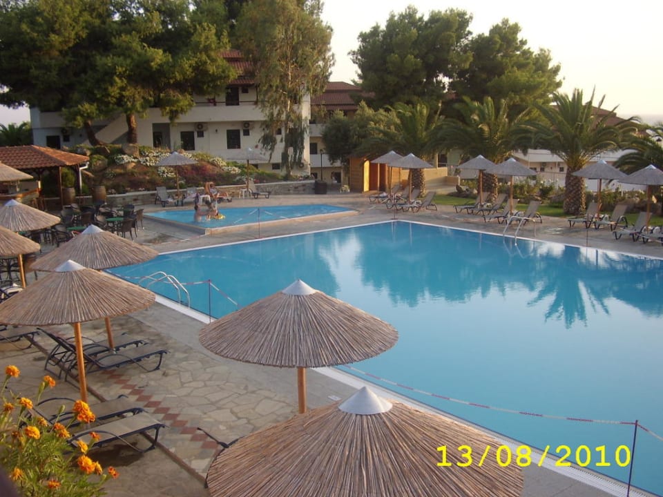 Pool Blue Dolphin Resort Hotel