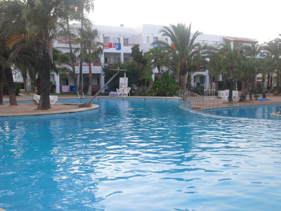 Pool Calimera Fido Gardens
