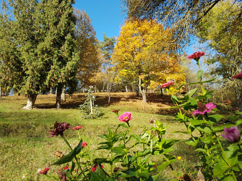 Gartenanlage Vitalhotel König am Park