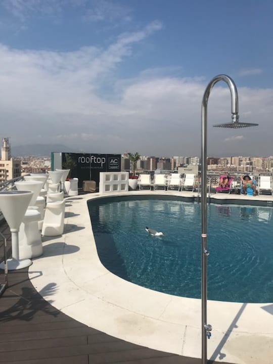 Pool Hotel Ac Malaga Palacio