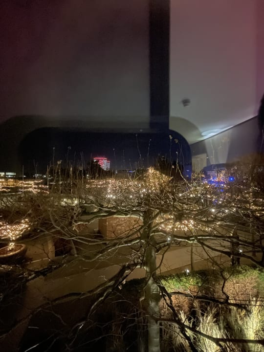 Ausblick The Ritz-Carlton Wolfsburg