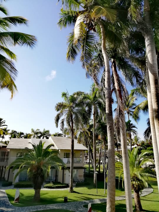 Ausblick Grand Palladium Punta Cana Resort & Spa