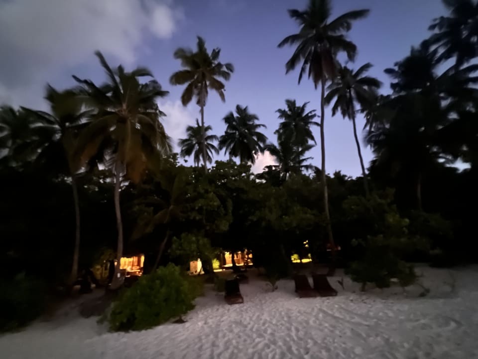 Gartenanlage Filitheyo Island Resort