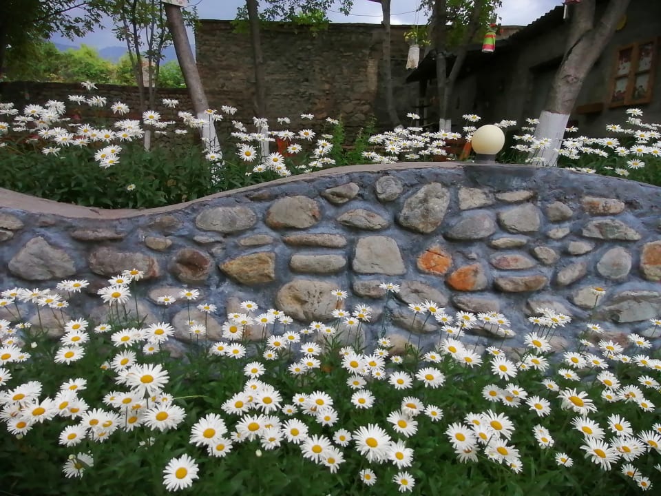 Gartenanlage Family Hotel Lago