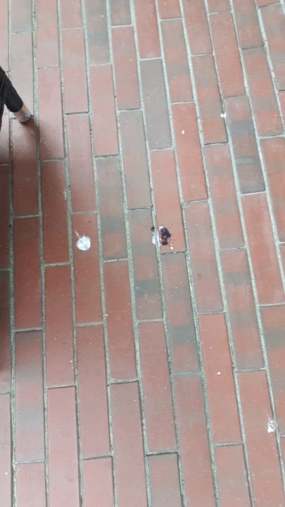 Sonstiges Haus am Meer