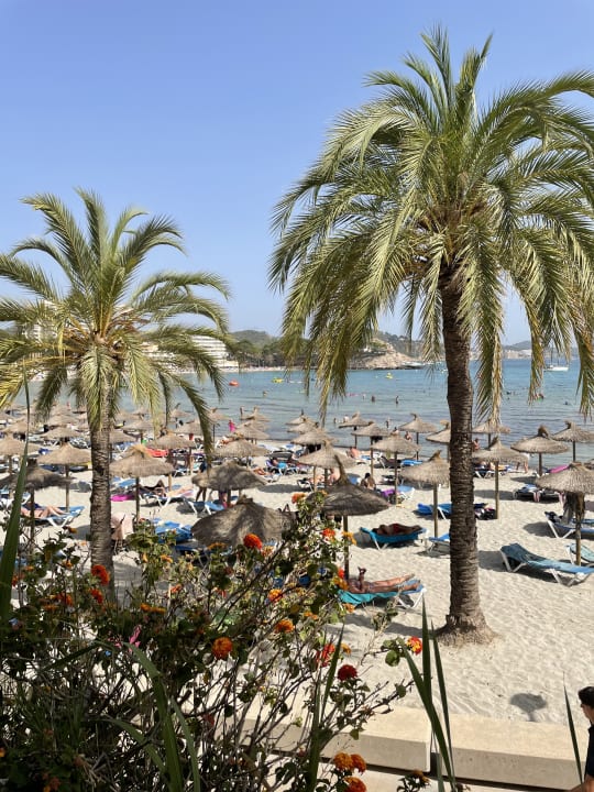 Strand allsun Hotel Bella Paguera