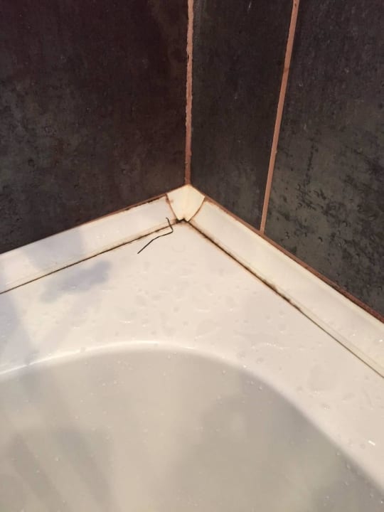 Badewanne Festa Via Pontica