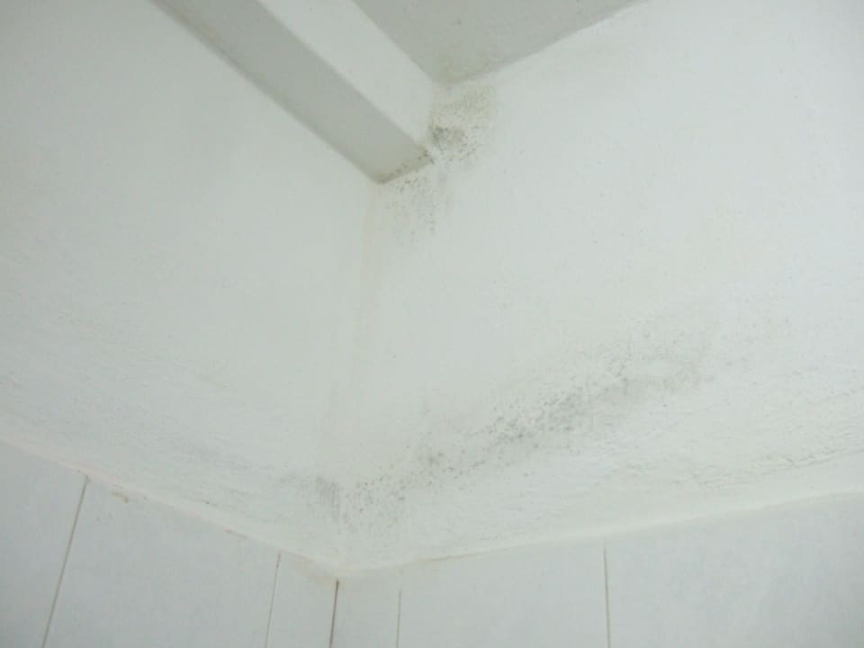 Grzyb w łazience Hotel Southern Palms Beach Resort