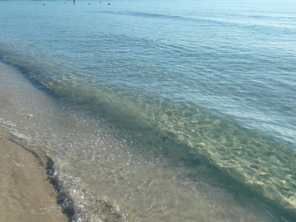 Meer/ Strand Hipotels Mediterraneo Club