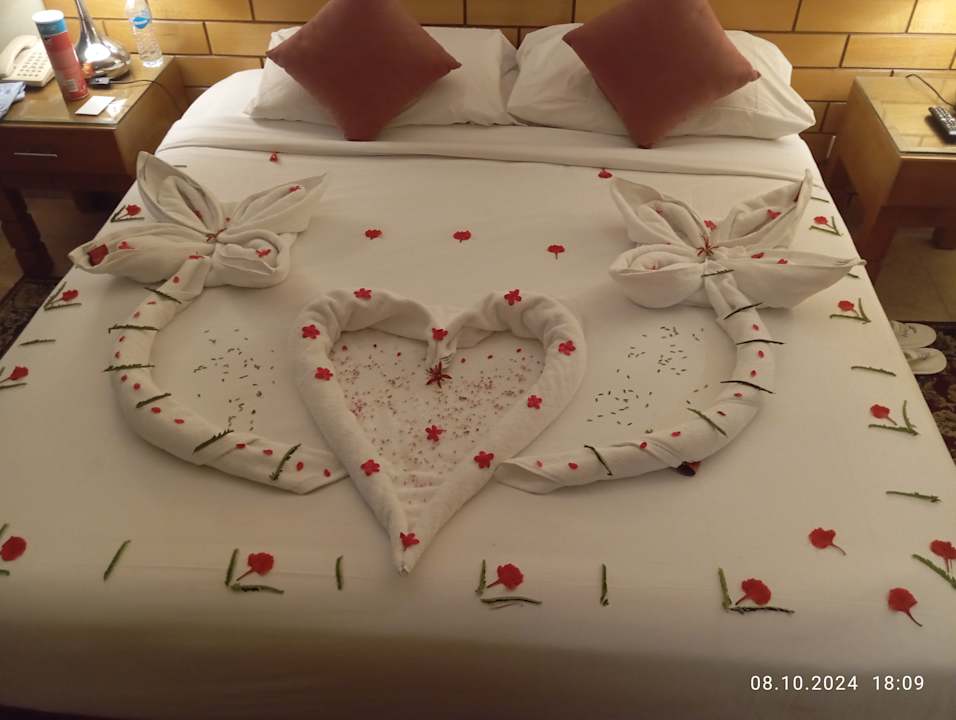 Zimmer Parrotel Aqua Park Resort