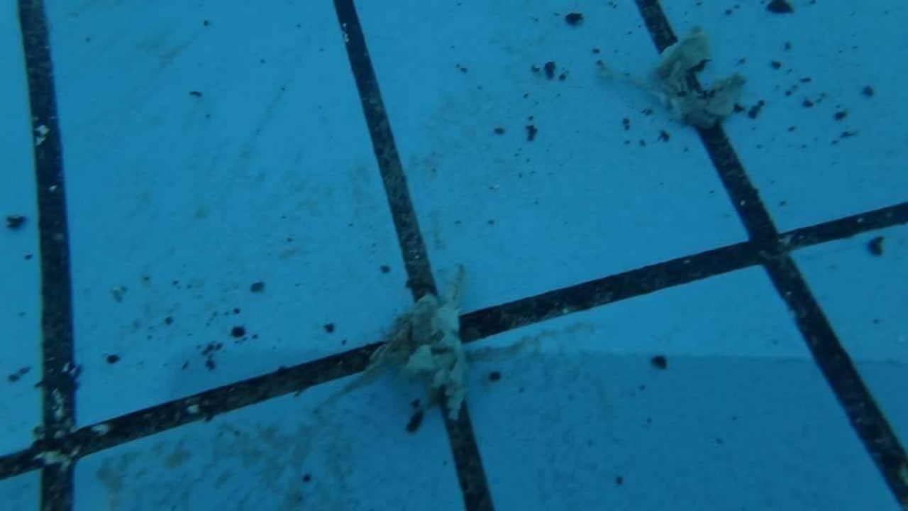 Essensreste im Pool Sunny Days Palma De Mirette Resort & Spa