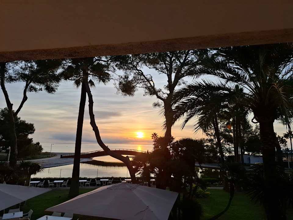 Ausblick allsun App.-Hotel Orquidea Playa