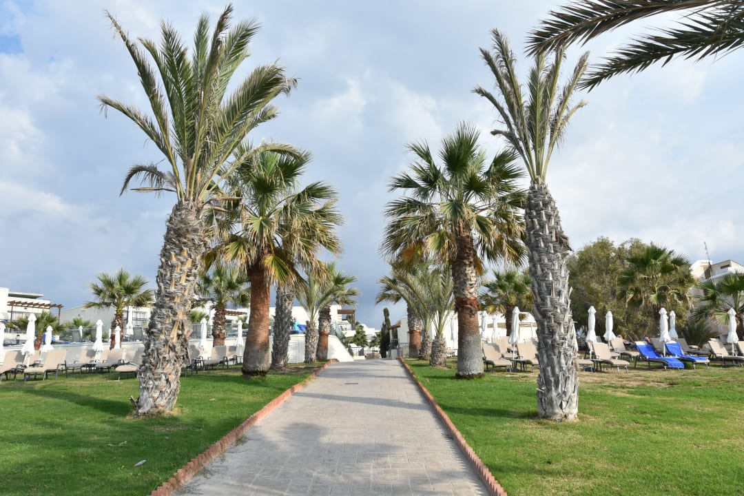 Außenansicht Louis Paphos Breeze