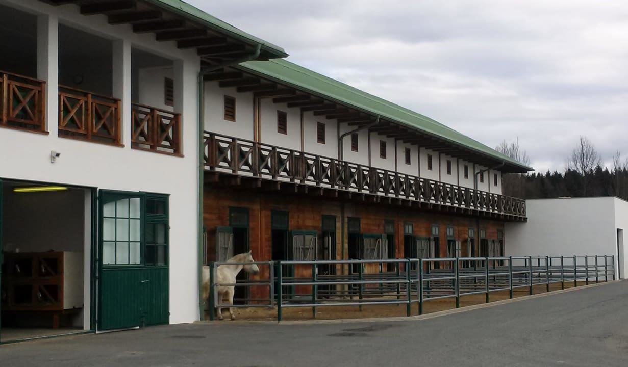 Reitstall Anlage Hotel Reiters Supreme