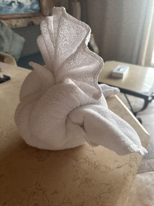 Zimmer Pickalbatros Citadel Resort