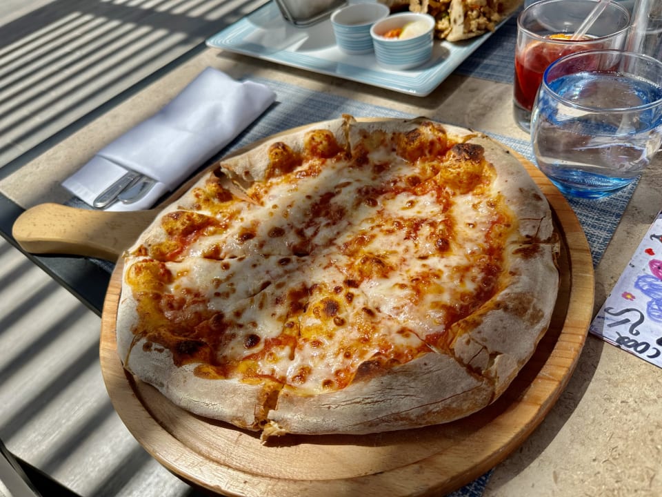 Gastro JAZ Elite Amara