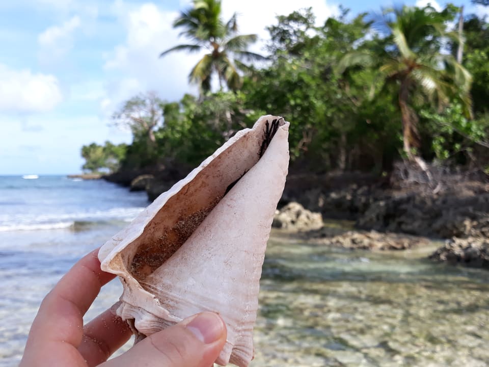 Zimmer Wyndham Alltra Samana