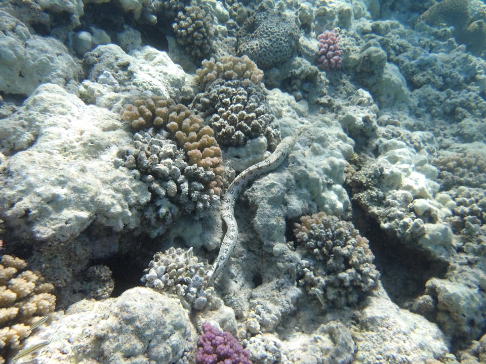 Sport & Freizeit Brayka Bay Resort