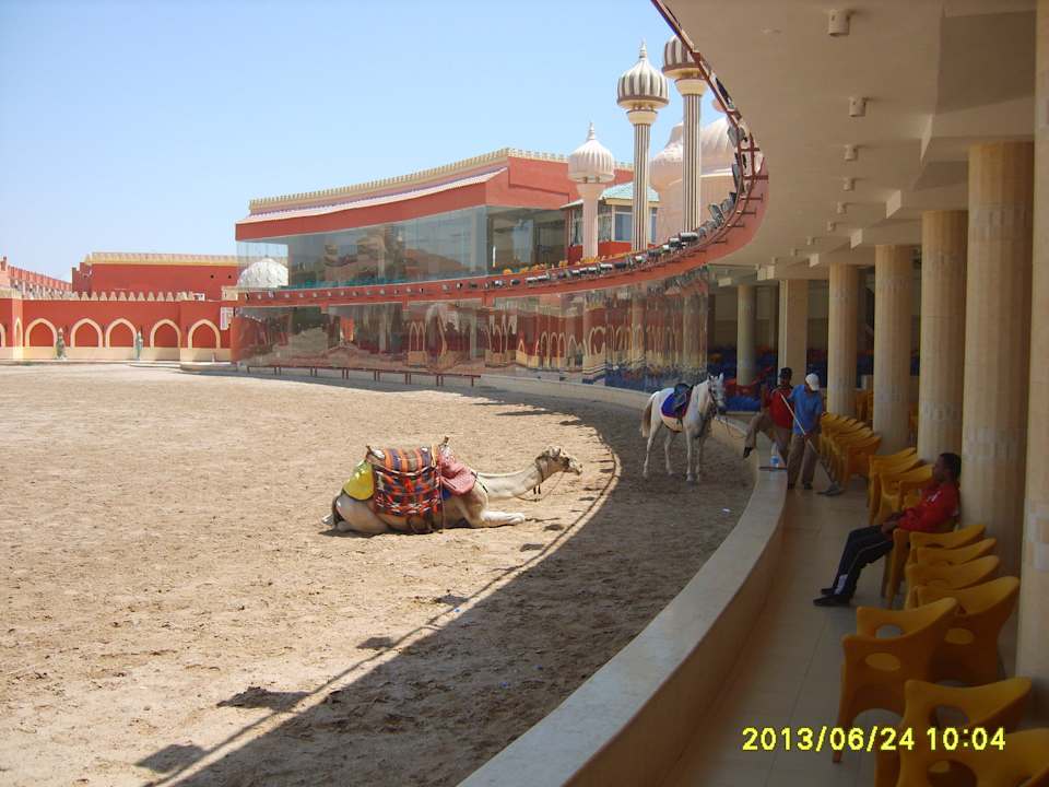Arena Pickalbatros Alf Leila Wa Leila Resort - Neverland Hurghada