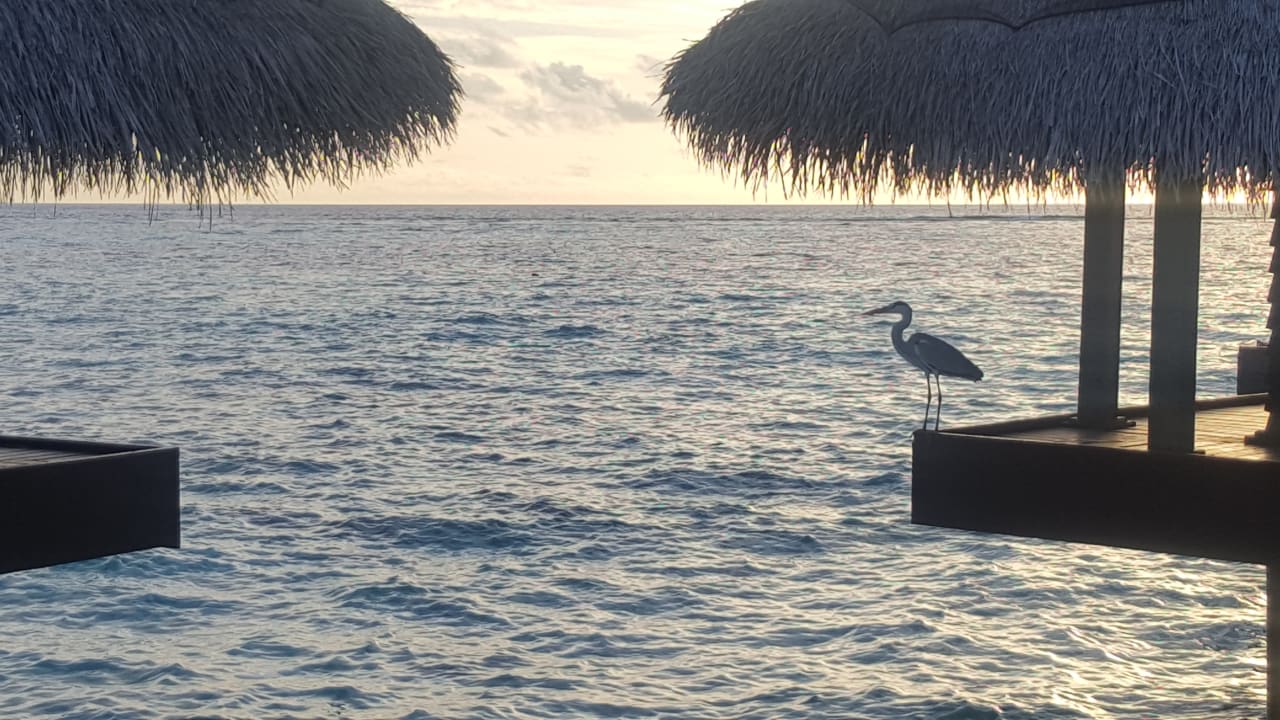Strand Adaaran Club Rannalhi - All Inclusive
