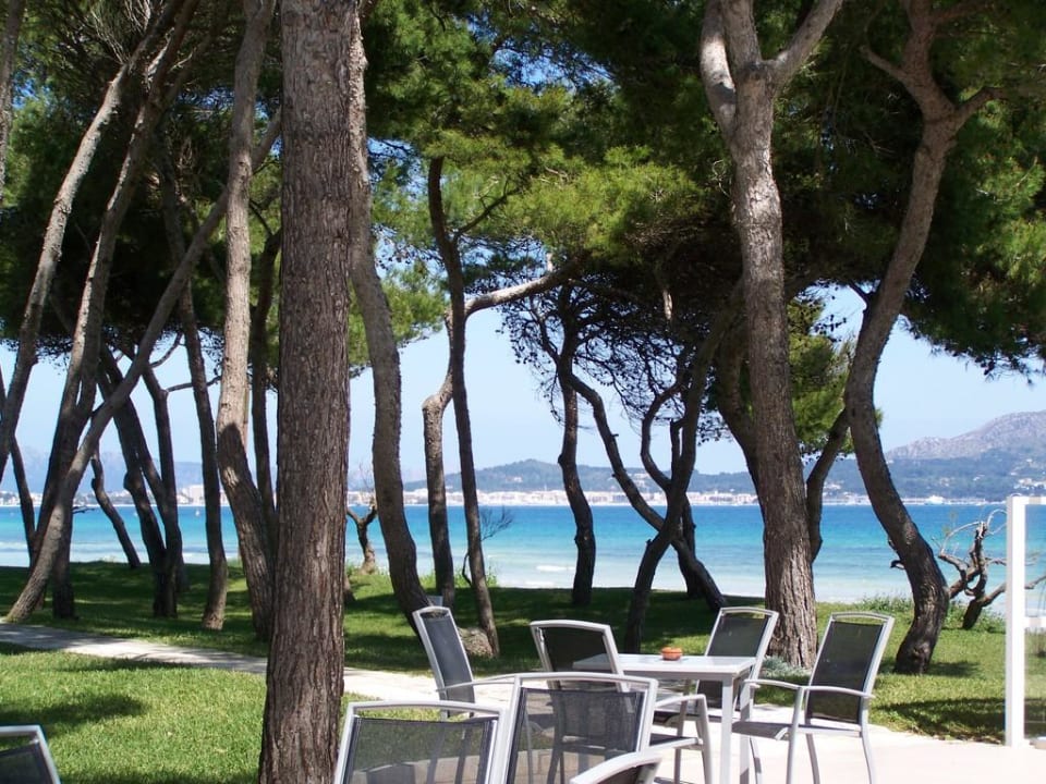 An der Bar Iberostar Waves Playa de Muro