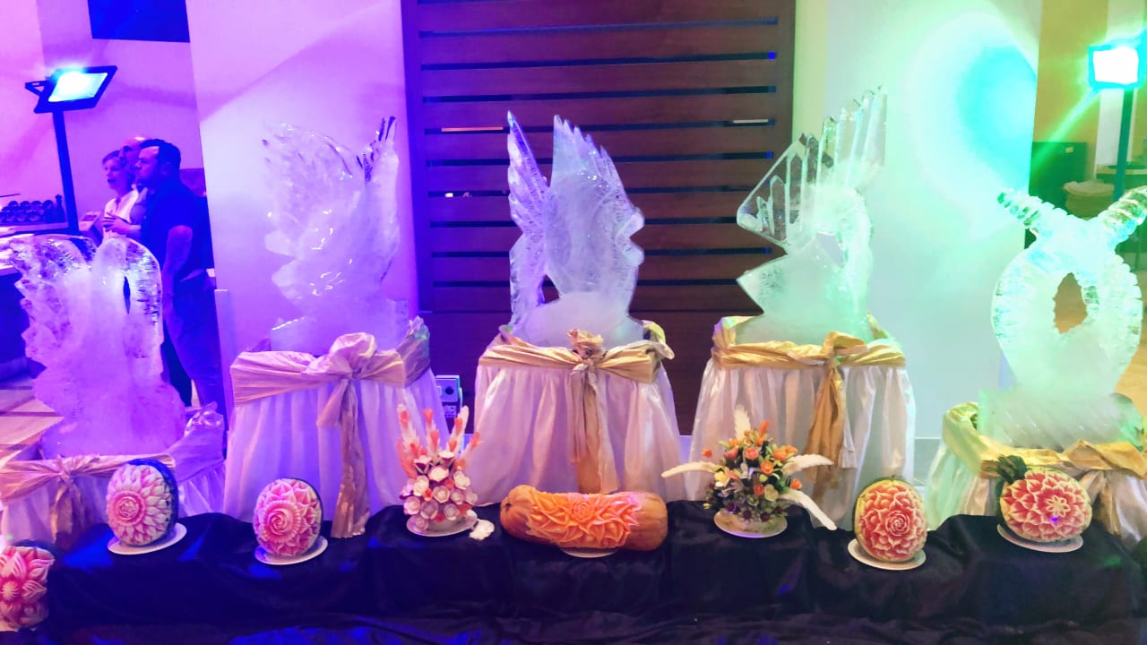 Gastro Arum Barut Collection