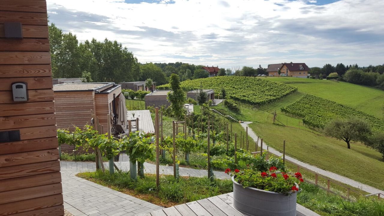 Ausblick Weingarten-Resort Unterlamm Loipersdorf