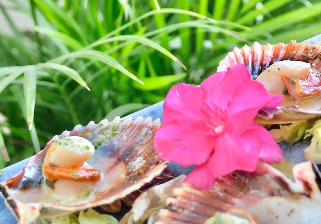 Gastro Hotel Na Forana