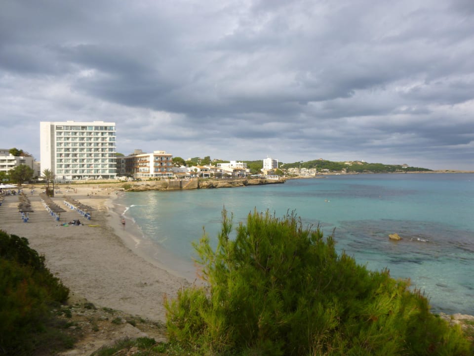 Son Moll Son Moll Sentits Hotel & Spa