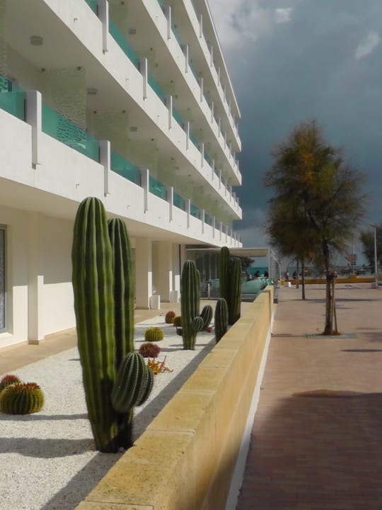 Außenansicht The Sea Hotel by Grupotel - Adults only