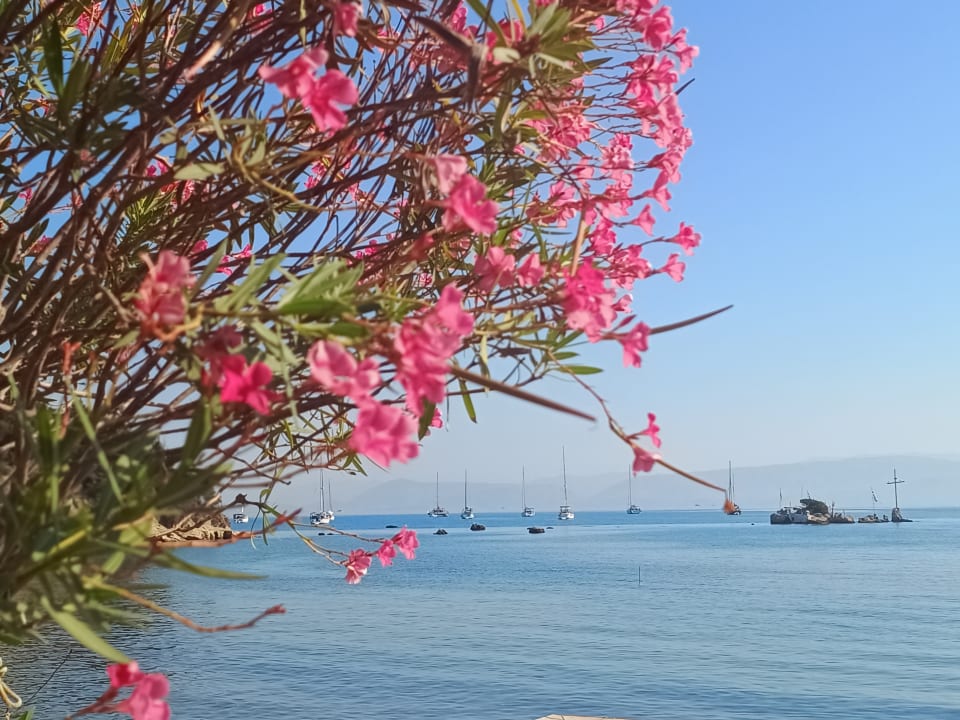 Sonstiges Hotel Albatros