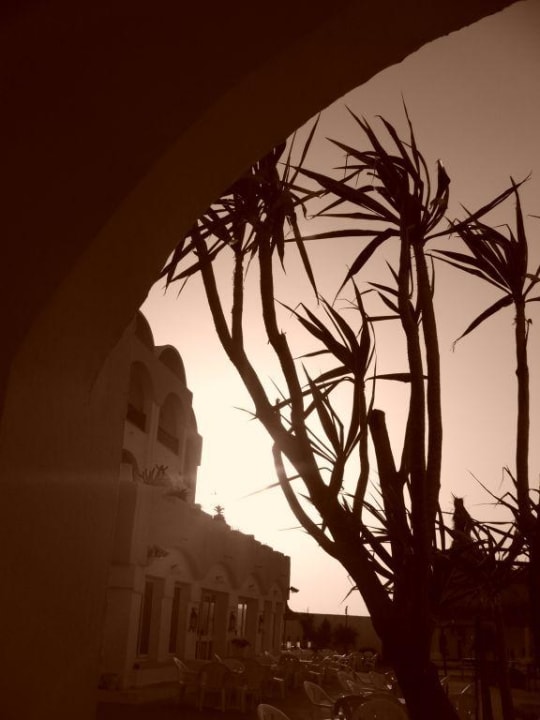 Los palmos Hotel Medi Sea